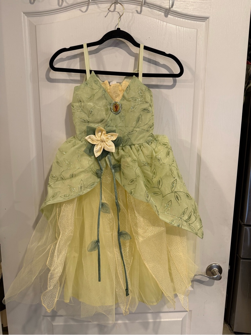 Walt Disney World Disneyland Tiana Princess & The Frog Costume Child Sz med 7-8